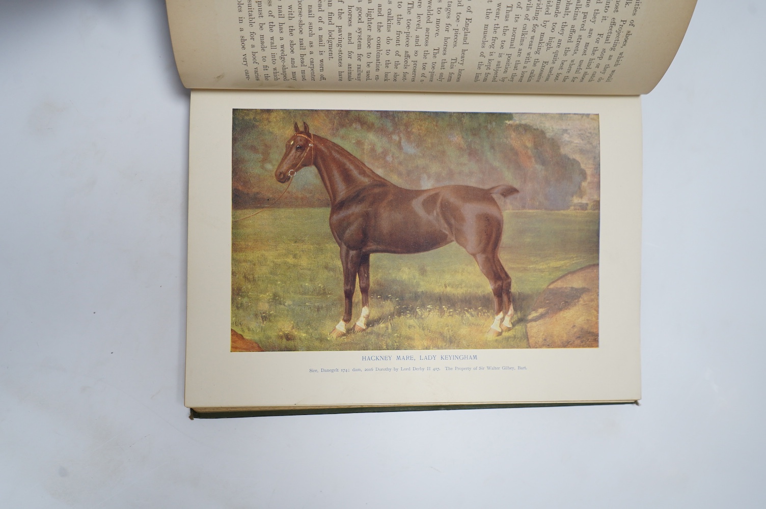 Axe, J. Wortley (editor) - The Horse: its treatment in health and disease. With a complete guide to breeding training and management. 9 vols. many plates (some coloured and folded), 13 folded pedigree tables, many text i